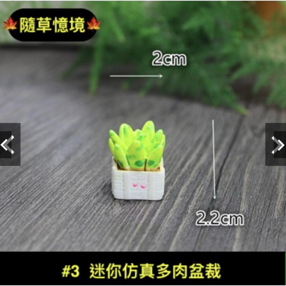 （一組8款入）仿真多肉 模擬多肉植物花盆飾品 苔蘚微景觀生態瓶擺件 新品樹脂擺件-細節圖4