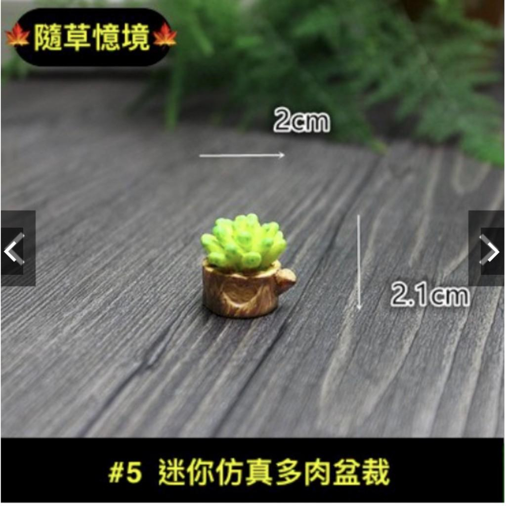 （一組8款入）仿真多肉 模擬多肉植物花盆飾品 苔蘚微景觀生態瓶擺件 新品樹脂擺件-細節圖6