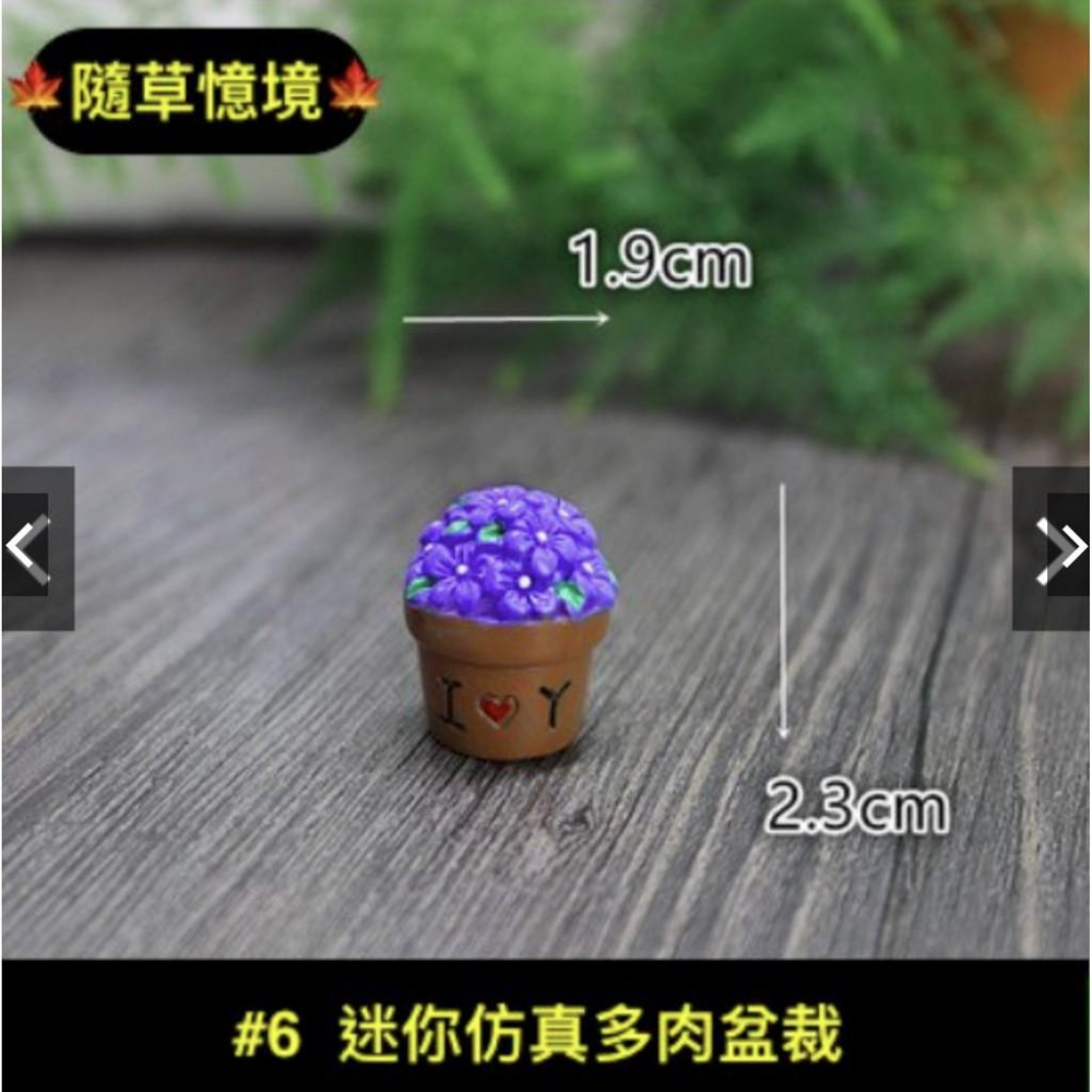 （一組8款入）仿真多肉 模擬多肉植物花盆飾品 苔蘚微景觀生態瓶擺件 新品樹脂擺件-細節圖7