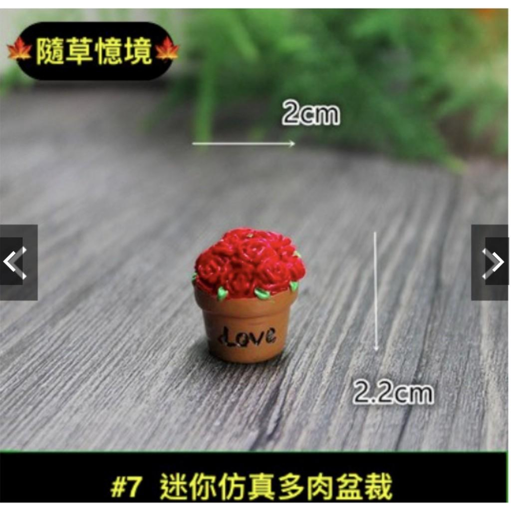 （一組8款入）仿真多肉 模擬多肉植物花盆飾品 苔蘚微景觀生態瓶擺件 新品樹脂擺件-細節圖8