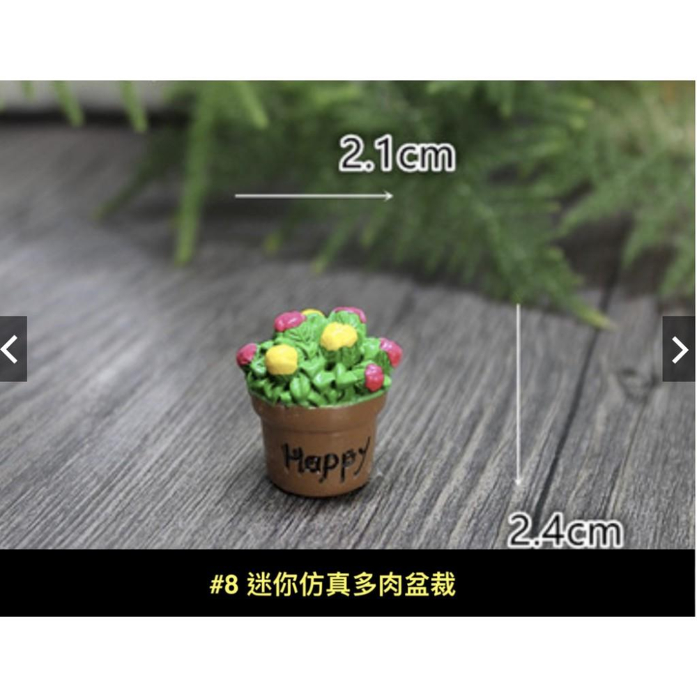 （一組8款入）仿真多肉 模擬多肉植物花盆飾品 苔蘚微景觀生態瓶擺件 新品樹脂擺件-細節圖9