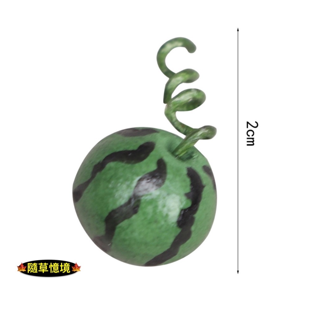迷你仿真 西瓜 小玉西瓜 蔬果 微縮 模型 水果 娃娃屋 袖珍 食玩 微縮 微景觀 模型-細節圖3