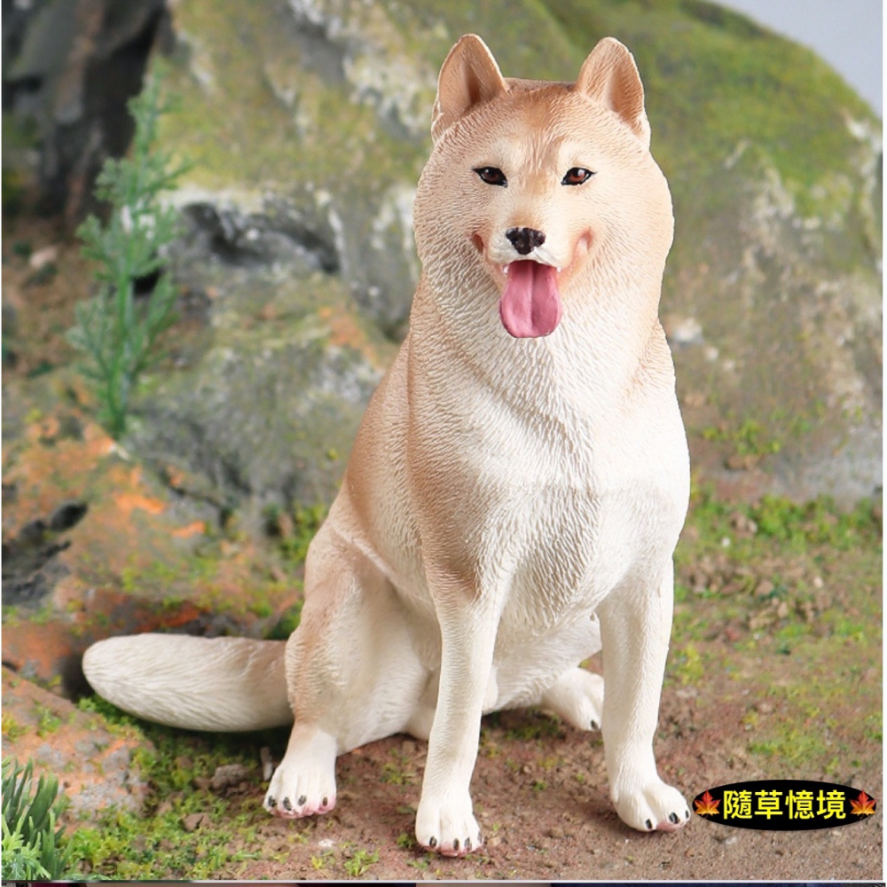 （4款高品質畫工）仿真 哈士奇 小狗 狗狗 名犬 動物模型 野生動物 兒童玩具 益智 公仔 SPG-細節圖2