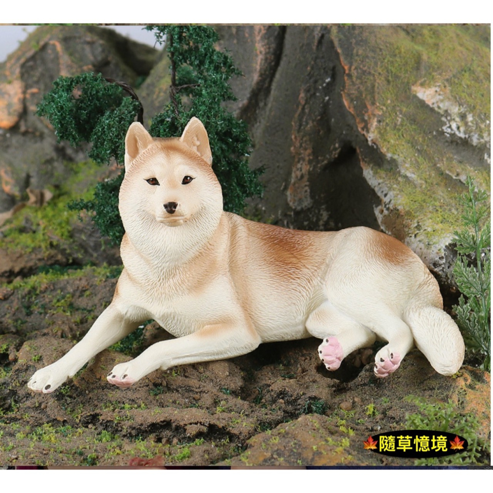 （4款高品質畫工）仿真 哈士奇 小狗 狗狗 名犬 動物模型 野生動物 兒童玩具 益智 公仔 SPG-細節圖4