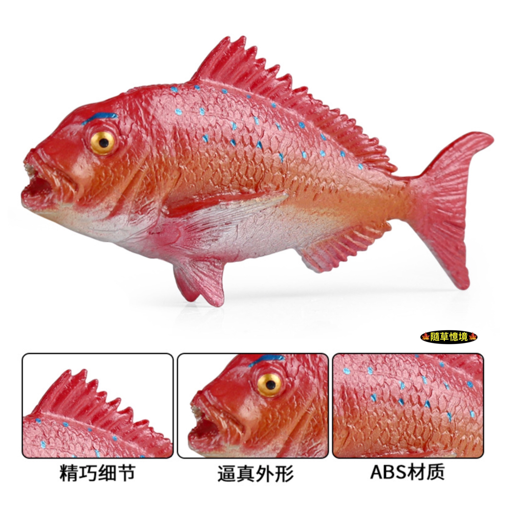 （高品質畫工）仿真 紅鯛魚 鯛魚 魚類 實心 海洋動物 動物模型 野生動物 兒童玩具 益智 公仔 SPG-細節圖3