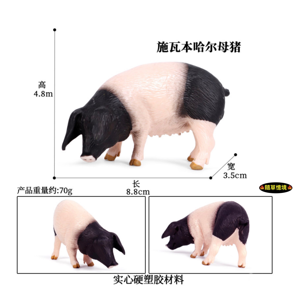 （6款高品質畫工）仿真 豬 母豬 豬公 黑豬 野豬 肉豬 大豬公 公豬 肥豬 農場 家禽 動物模型 公仔 SPG-細節圖3