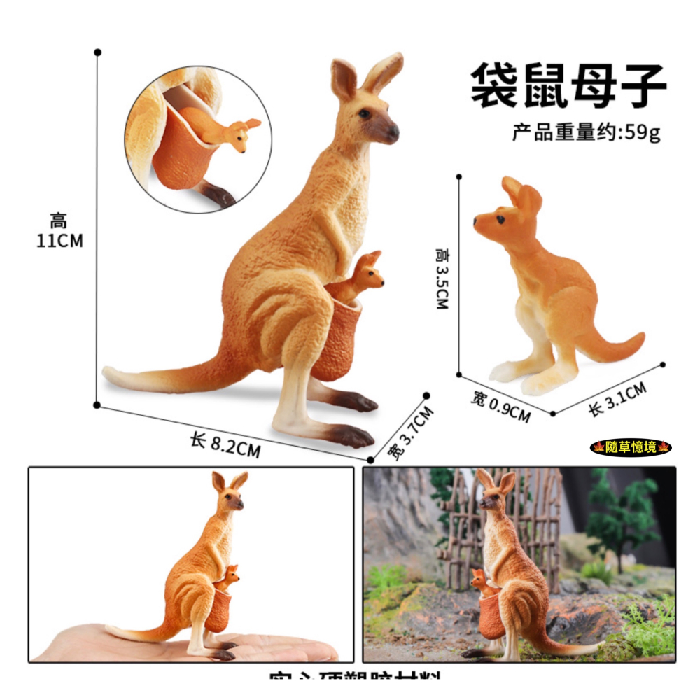 （活動子母款）仿真 袋鼠 母子袋鼠 袋鼠一家 親子袋鼠 動物模型 野生動物 兒童玩具 益智 公仔 SPG-細節圖2