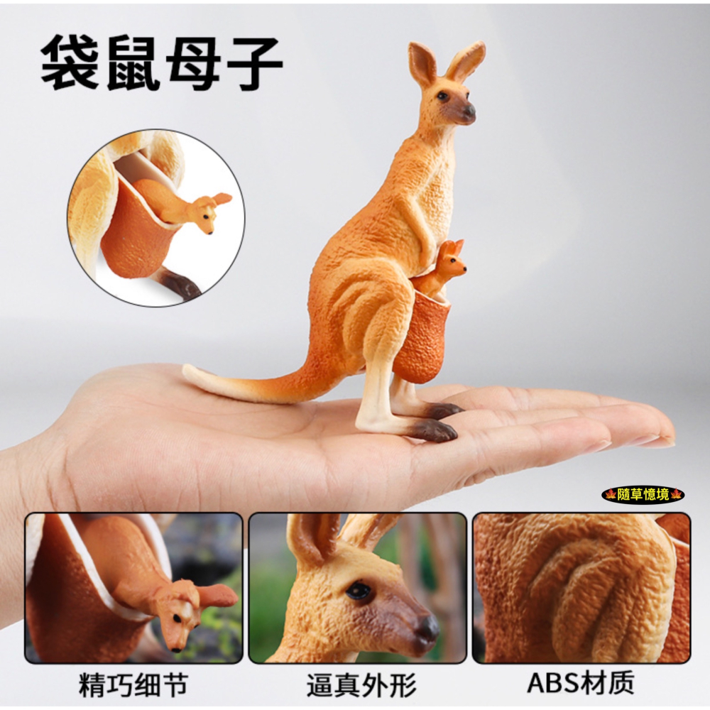 （活動子母款）仿真 袋鼠 母子袋鼠 袋鼠一家 親子袋鼠 動物模型 野生動物 兒童玩具 益智 公仔 SPG-細節圖3