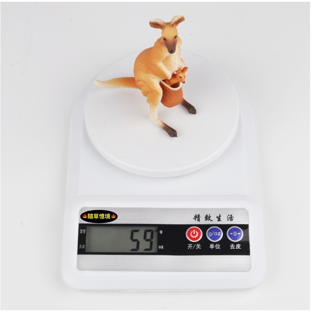 （活動子母款）仿真 袋鼠 母子袋鼠 袋鼠一家 親子袋鼠 動物模型 野生動物 兒童玩具 益智 公仔 SPG-細節圖4