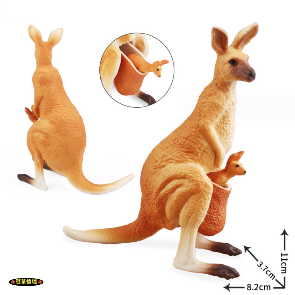 （活動子母款）仿真 袋鼠 母子袋鼠 袋鼠一家 親子袋鼠 動物模型 野生動物 兒童玩具 益智 公仔 SPG-細節圖6
