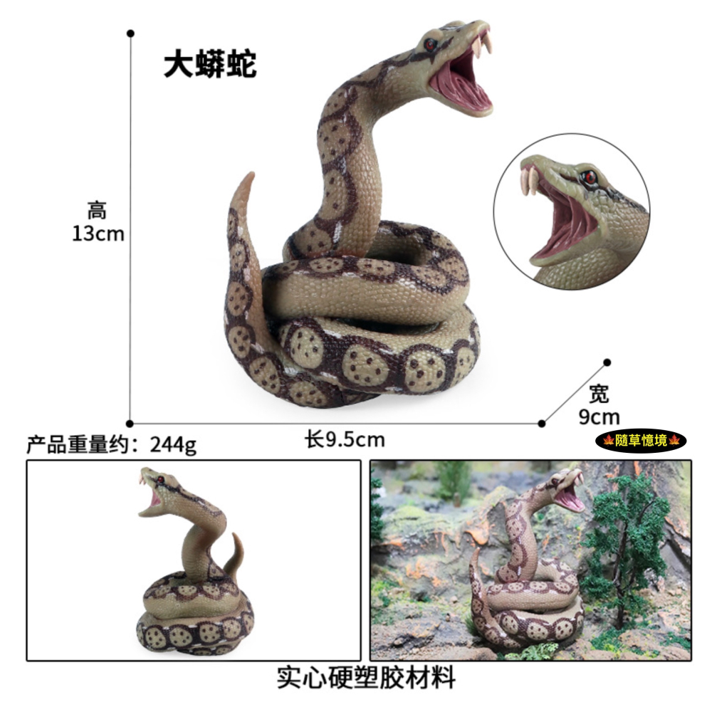 （2色高品質畫工）仿真 大蟒蛇 泰坦 巨蟒 泰坦蚺 蛇 冷血動物模型 野生動物 惡搞怪整 玩具 公仔 SPG-細節圖4