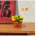 迷你仿真 金桔 盆栽 大吉大利 福 盆景 綠植 盆栽 K153 娃娃屋 袖珍 食玩 微縮場景 微景觀 模型-規格圖10