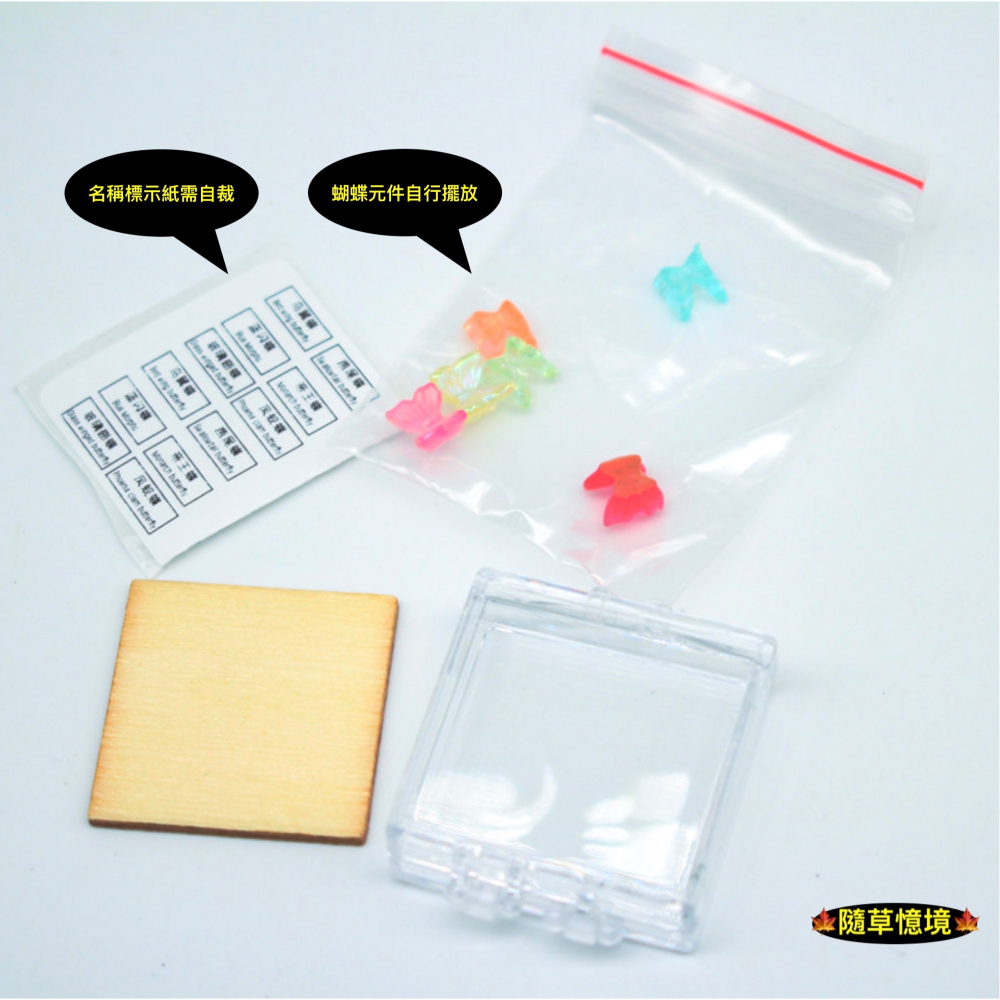 迷你仿真 蝴蝶標本 蝴蝶 鳳蝶 標本盒 昆蟲 捕捉模型 家居 牆壁掛飾 娃娃屋 袖珍 微縮 食玩 微景觀模型-細節圖6