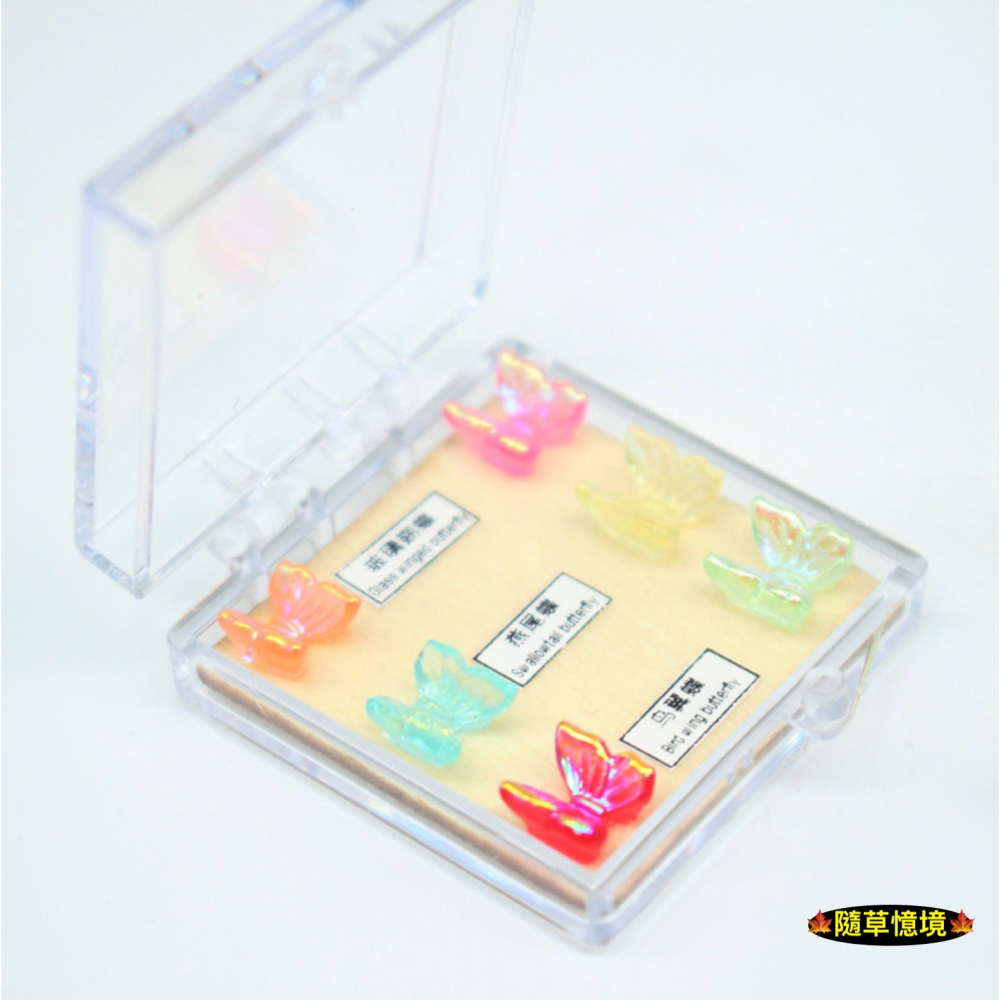 迷你仿真 蝴蝶標本 蝴蝶 鳳蝶 標本盒 昆蟲 捕捉模型 家居 牆壁掛飾 娃娃屋 袖珍 微縮 食玩 微景觀模型-細節圖7