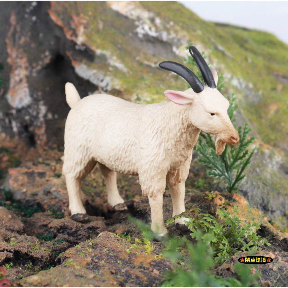 （高品質畫工）仿真 鬍鬚 山羊 綿羊 羊 農場 家禽 動物模型 野生動物 兒童玩具 益智 公仔 SPG-細節圖2
