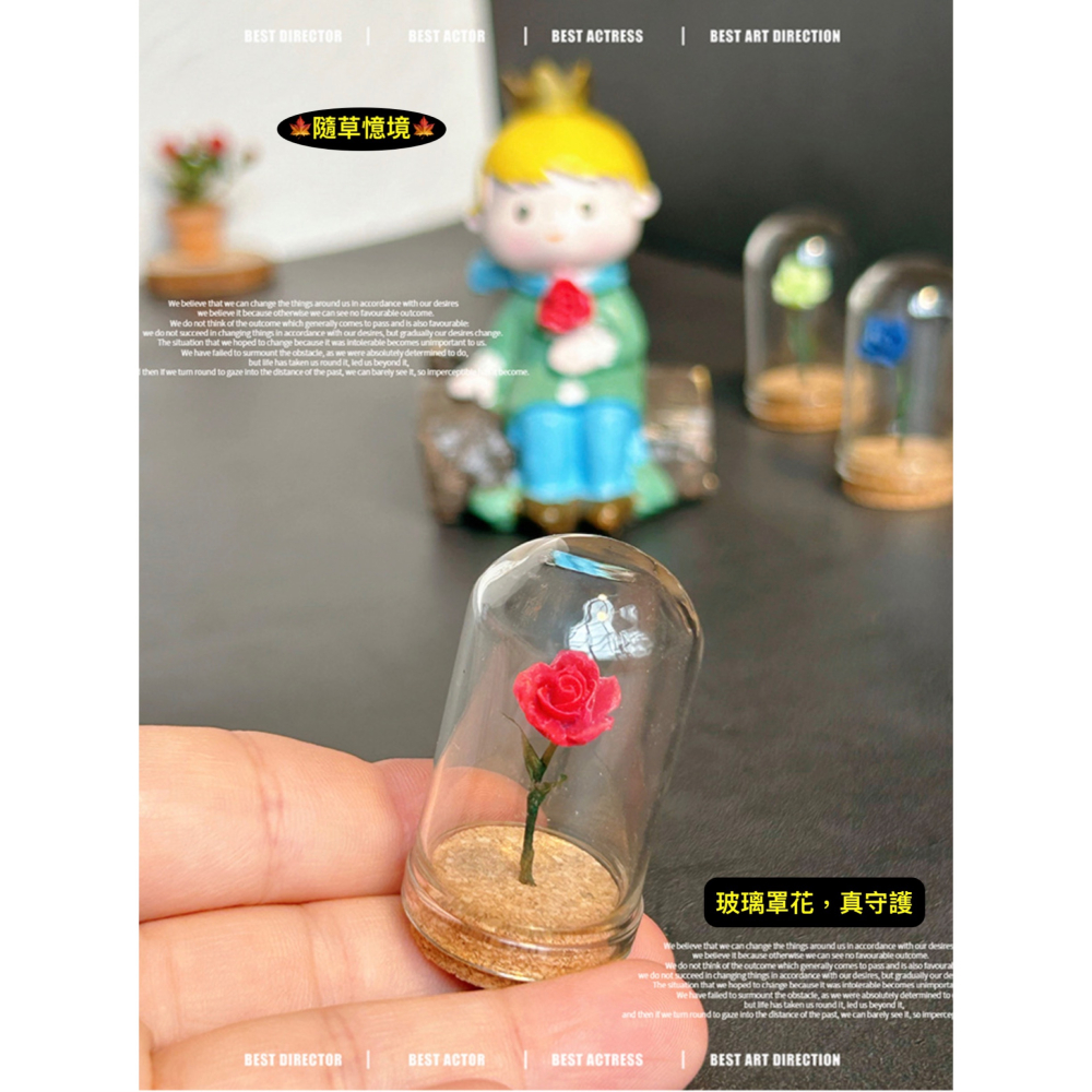 （5色）玫瑰花 植物花 小王子 守護的 玻璃罩花 花 花朵 K147 娃娃屋 袖珍 微縮 食玩 微景觀 模型-細節圖2