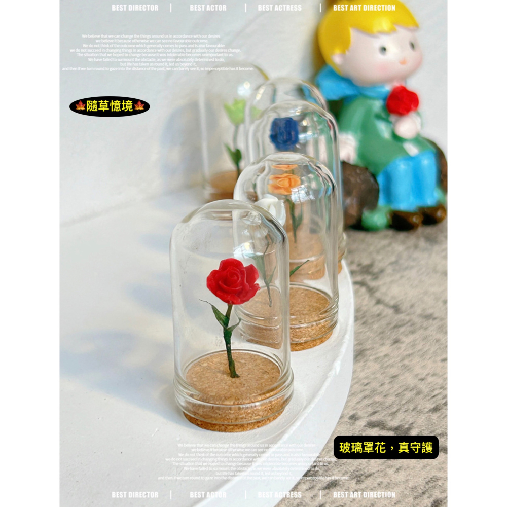 （5色）玫瑰花 植物花 小王子 守護的 玻璃罩花 花 花朵 K147 娃娃屋 袖珍 微縮 食玩 微景觀 模型-細節圖4