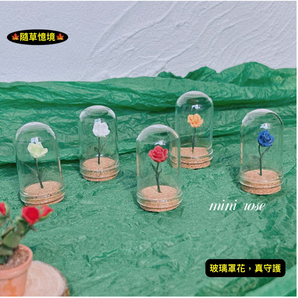 （5色）玫瑰花 植物花 小王子 守護的 玻璃罩花 花 花朵 K147 娃娃屋 袖珍 微縮 食玩 微景觀 模型-細節圖5