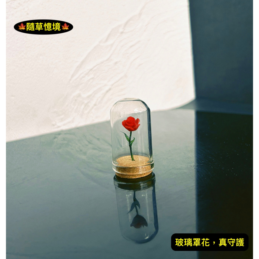 （5色）玫瑰花 植物花 小王子 守護的 玻璃罩花 花 花朵 K147 娃娃屋 袖珍 微縮 食玩 微景觀 模型-細節圖6