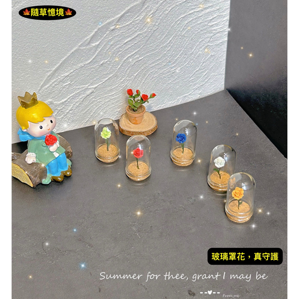 （5色）玫瑰花 植物花 小王子 守護的 玻璃罩花 花 花朵 K147 娃娃屋 袖珍 微縮 食玩 微景觀 模型-細節圖7