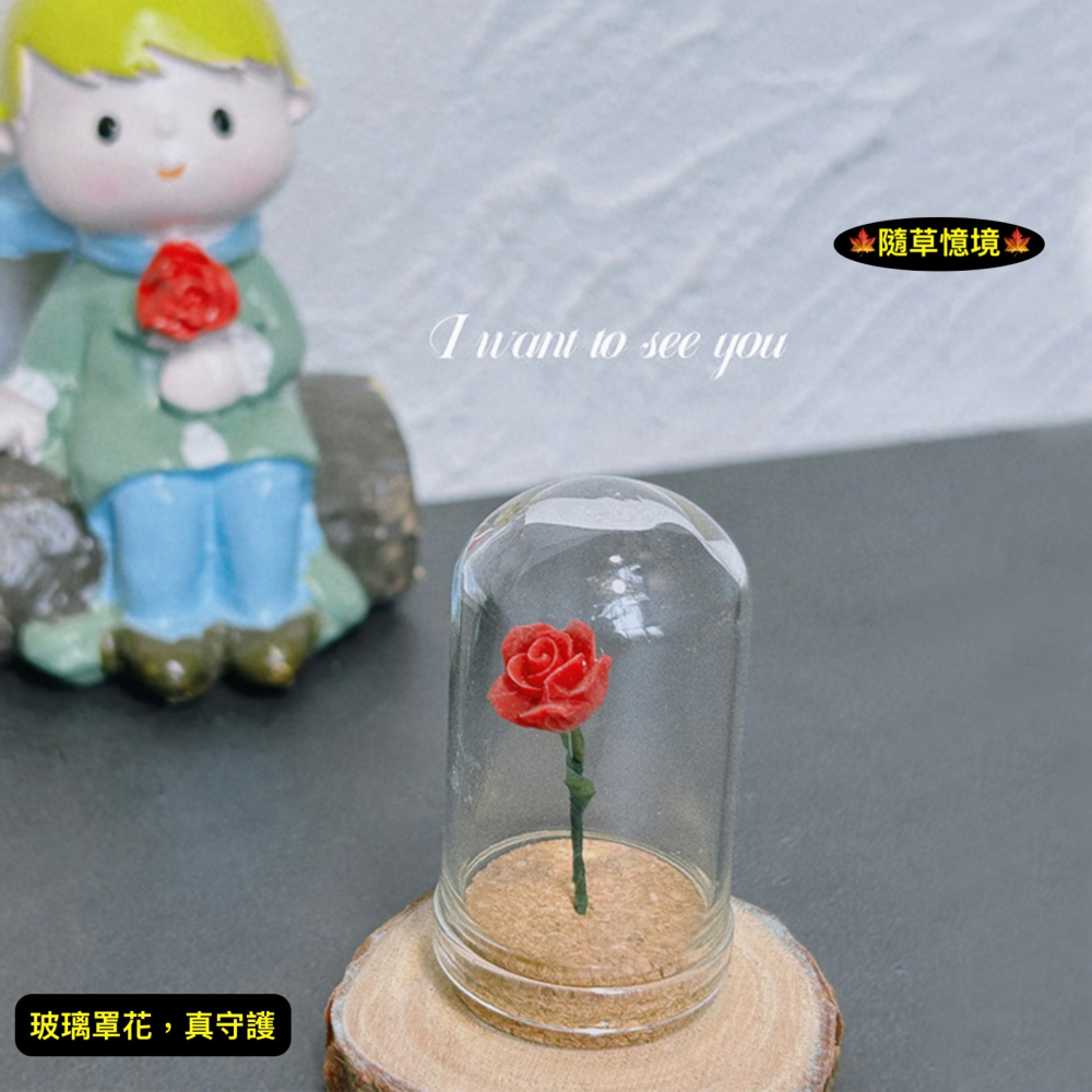 （5色）玫瑰花 植物花 小王子 守護的 玻璃罩花 花 花朵 K147 娃娃屋 袖珍 微縮 食玩 微景觀 模型-細節圖8