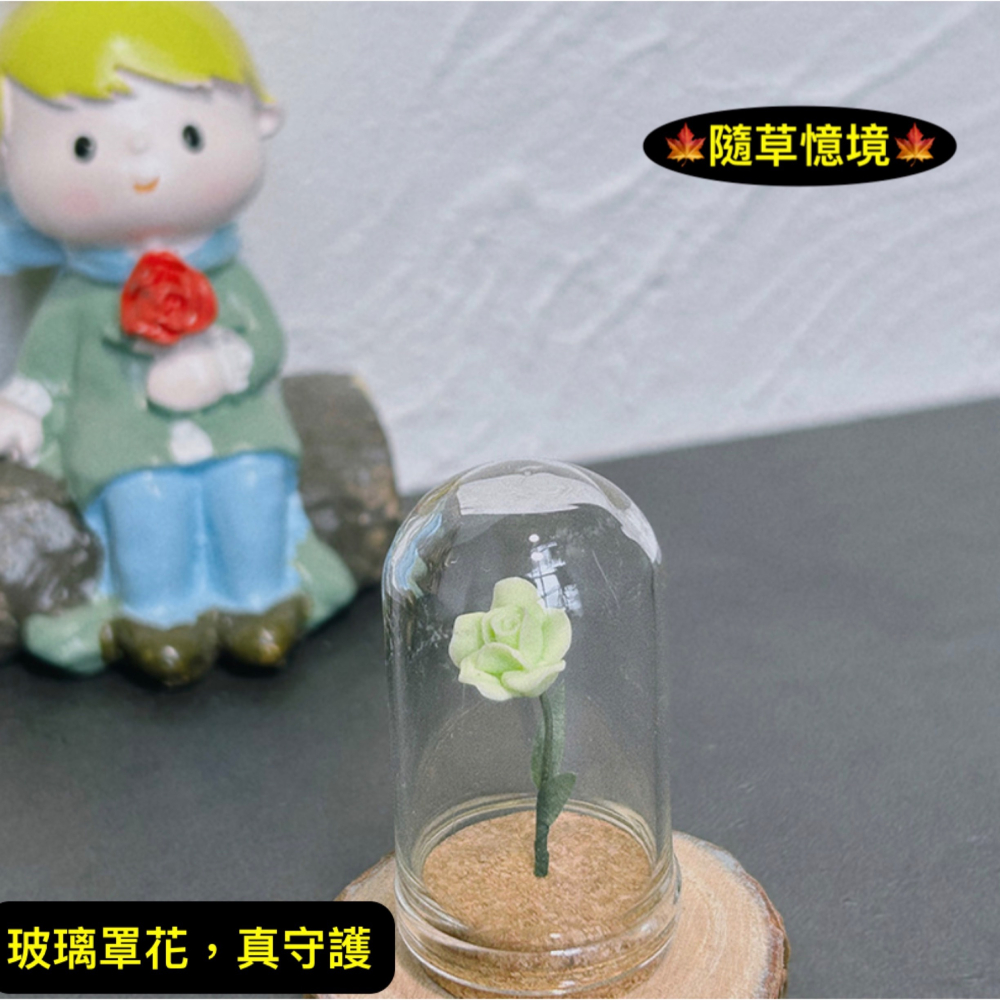 （5色）玫瑰花 植物花 小王子 守護的 玻璃罩花 花 花朵 K147 娃娃屋 袖珍 微縮 食玩 微景觀 模型-細節圖10