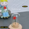 （5色）玫瑰花 植物花 小王子 守護的 玻璃罩花 花 花朵 K147 娃娃屋 袖珍 微縮 食玩 微景觀 模型-規格圖11