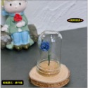 （5色）玫瑰花 植物花 小王子 守護的 玻璃罩花 花 花朵 K147 娃娃屋 袖珍 微縮 食玩 微景觀 模型-規格圖11