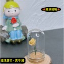 （5色）玫瑰花 植物花 小王子 守護的 玻璃罩花 花 花朵 K147 娃娃屋 袖珍 微縮 食玩 微景觀 模型-規格圖11