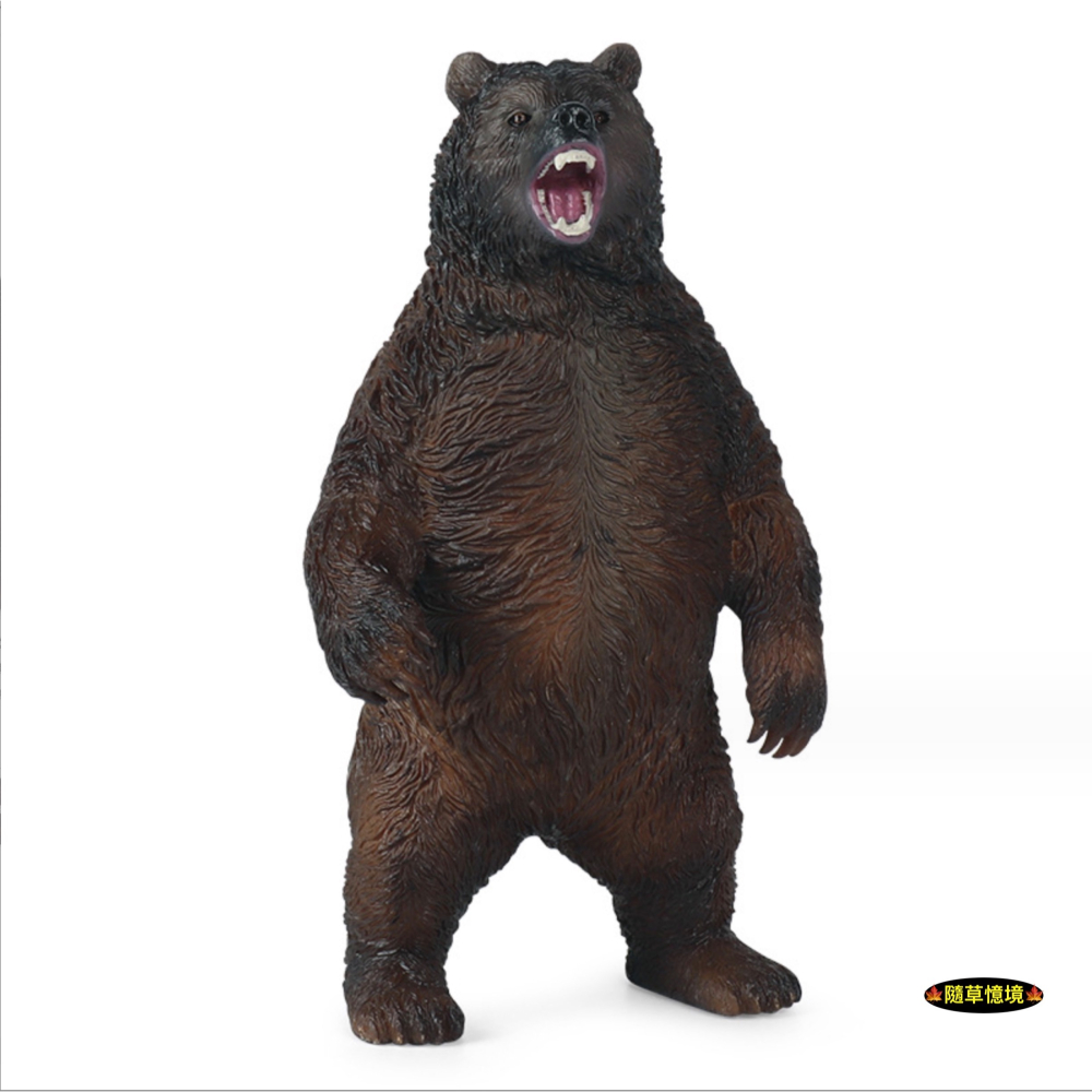（高品質畫工）仿真 大棕熊 棕熊 太陽熊 黑熊 熊 動物模型 野生動物 兒童玩具 益智 公仔 SPG-細節圖5