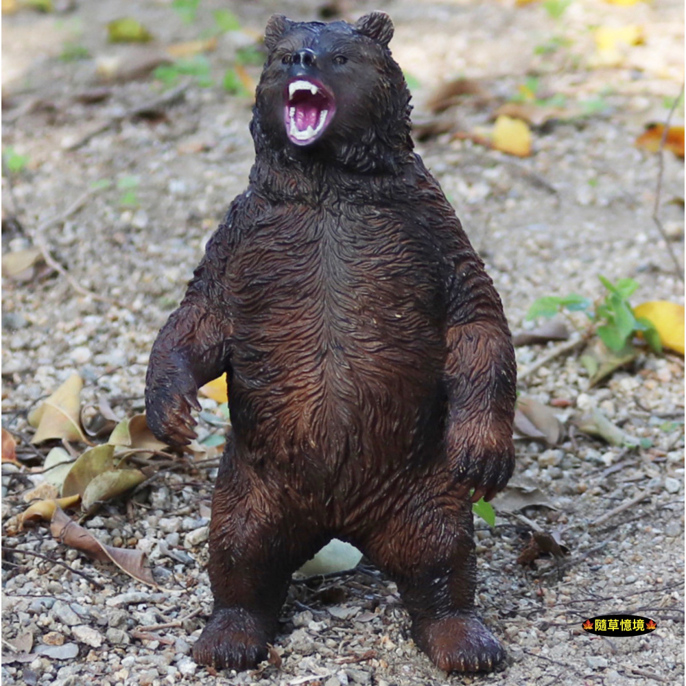 （高品質畫工）仿真 大棕熊 棕熊 太陽熊 黑熊 熊 動物模型 野生動物 兒童玩具 益智 公仔 SPG-細節圖6