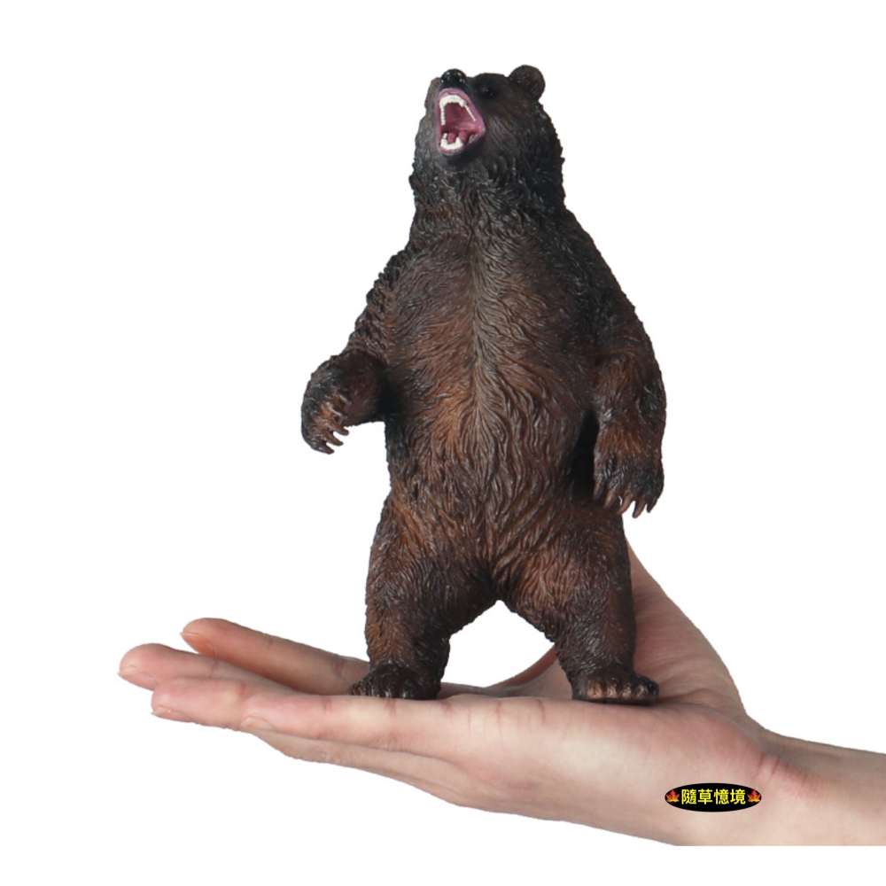 （高品質畫工）仿真 大棕熊 棕熊 太陽熊 黑熊 熊 動物模型 野生動物 兒童玩具 益智 公仔 SPG-細節圖7