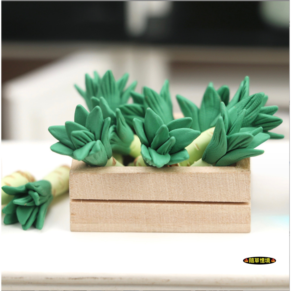 （高檔1入/5入）迷你仿真 萵苣 筍 青菜 白蘿蔔 硬質 手工粘土 娃娃屋 袖珍 微縮 食玩 微景觀 模型-細節圖3