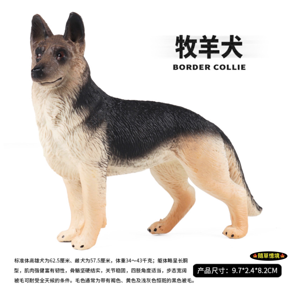 （小號）仿真 德國牧羊犬 狼狗 狼犬 牧羊犬 狗狗 小狗 忠犬 動物模型 野生動物 兒童 公仔 SPG-細節圖3