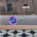 （8雙層色） 迷你 愛情 玫瑰 玫瑰花 雙色花 雙層花 花朵 k519 插花 娃娃屋 微縮 食玩模型 微景觀模型-規格圖11