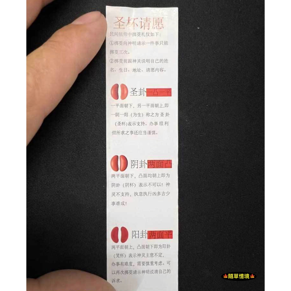 （盒裝）迷你仿真 聖杯 茭杯 卦聖 卦陰陽 勝杯 筊杯 擲杯 問拜拜 娃娃屋 袖珍 微縮 食玩 微景觀 模型-細節圖9