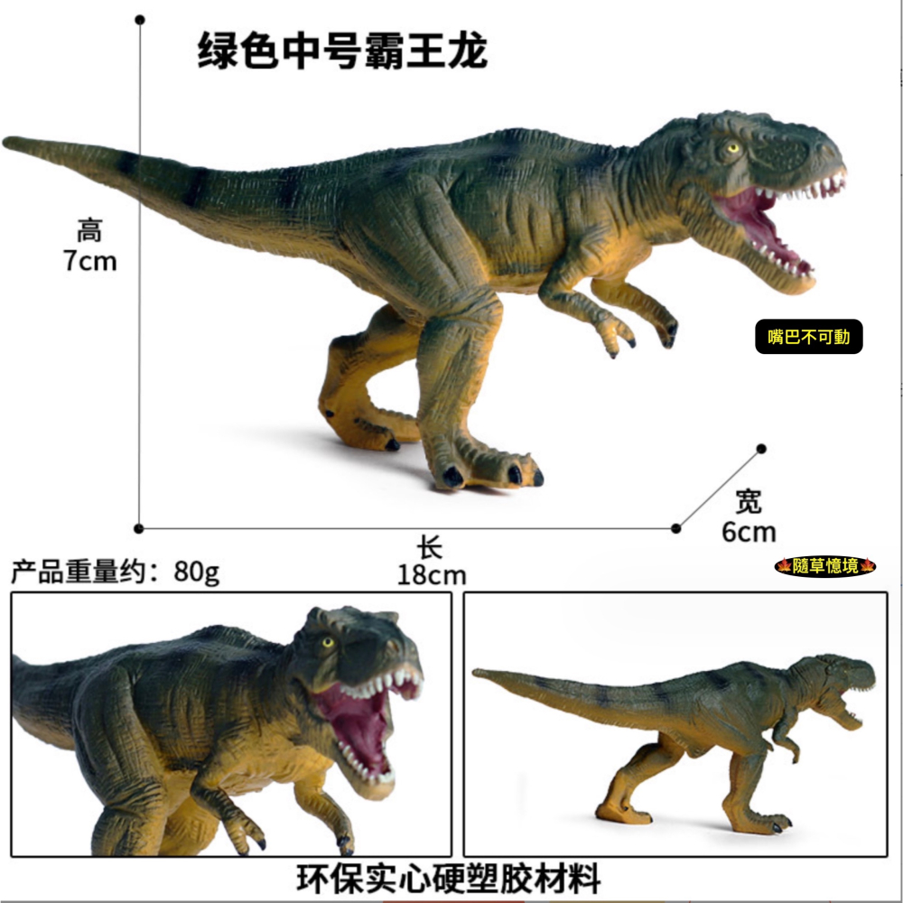 （5款高品質畫工）仿真 霸王龍 暴龍 恐龍 侏羅紀 實心 動物 動物模型 野生動物 兒童玩具 益智 公仔 SPG-細節圖5