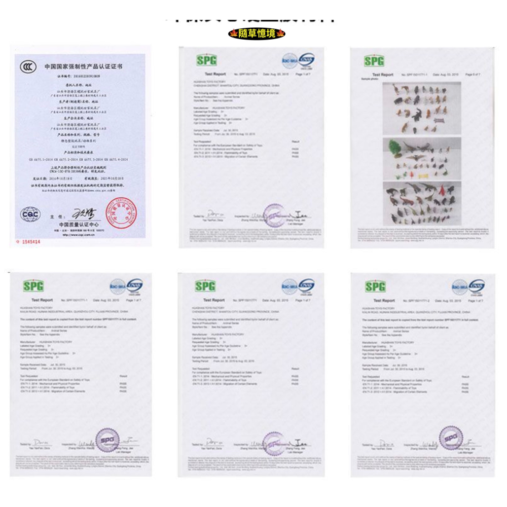 （5款高品質畫工）仿真 霸王龍 暴龍 恐龍 侏羅紀 實心 動物 動物模型 野生動物 兒童玩具 益智 公仔 SPG-細節圖9