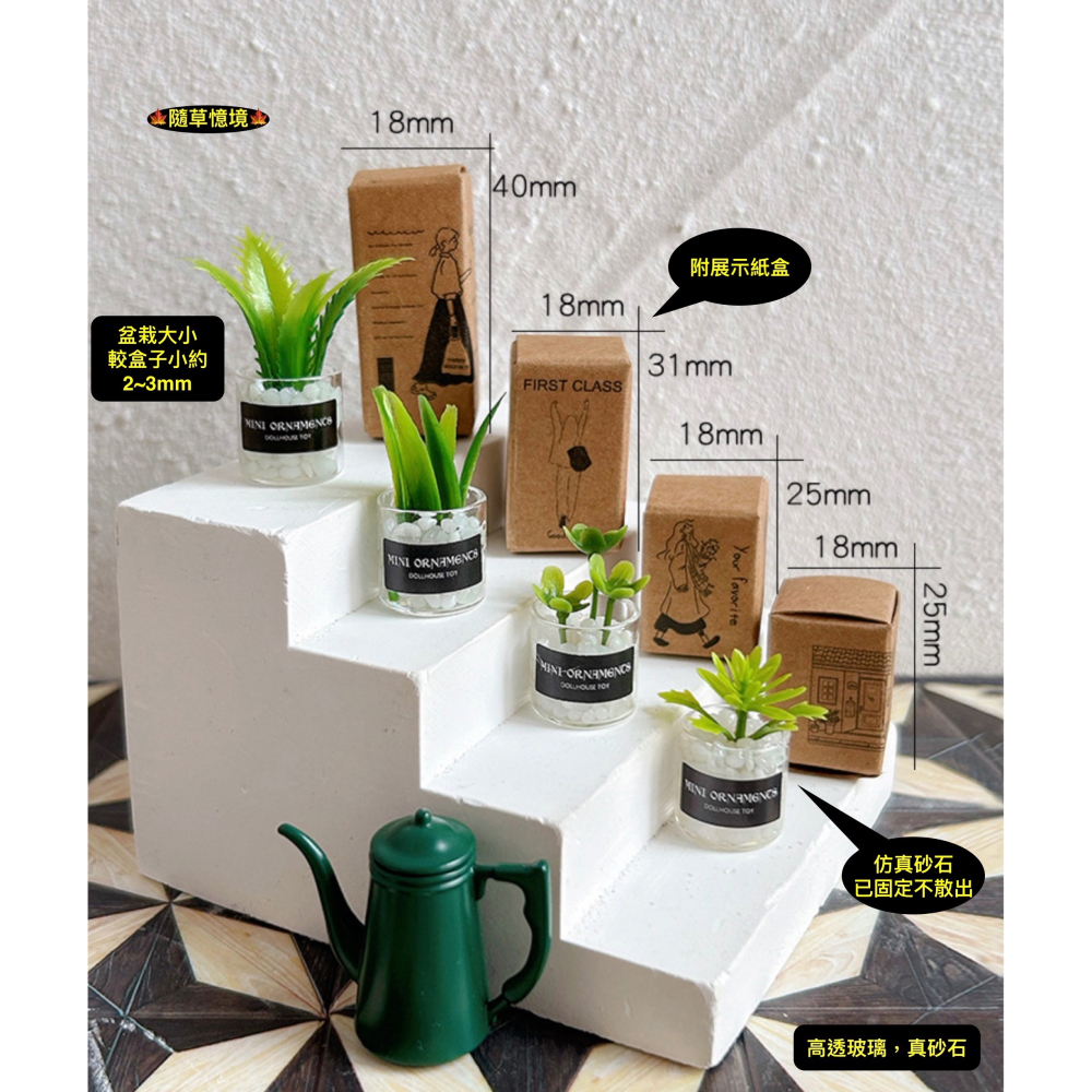 （8款璃盒裝）迷你仿真 綠植 盆栽 盆栽草 盆景 花盆 盆景 K149 娃娃屋 1:12 袖珍 微縮 食玩 微景觀模型-細節圖2
