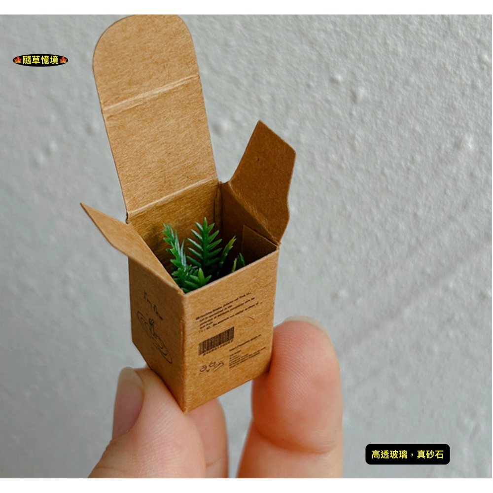 （8款璃盒裝）迷你仿真 綠植 盆栽 盆栽草 盆景 花盆 盆景 K149 娃娃屋 1:12 袖珍 微縮 食玩 微景觀模型-細節圖3