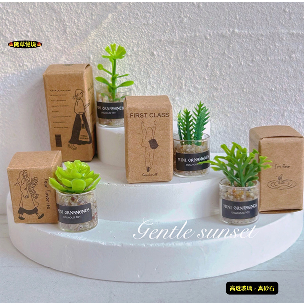 （8款璃盒裝）迷你仿真 綠植 盆栽 盆栽草 盆景 花盆 盆景 K149 娃娃屋 1:12 袖珍 微縮 食玩 微景觀模型-細節圖5