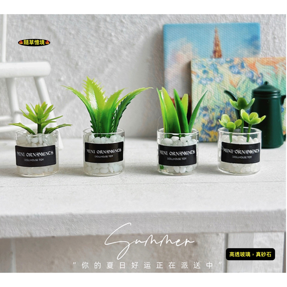 （8款璃盒裝）迷你仿真 綠植 盆栽 盆栽草 盆景 花盆 盆景 K149 娃娃屋 1:12 袖珍 微縮 食玩 微景觀模型-細節圖6
