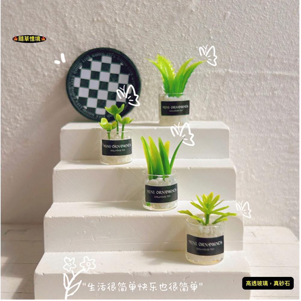 （8款璃盒裝）迷你仿真 綠植 盆栽 盆栽草 盆景 花盆 盆景 K149 娃娃屋 1:12 袖珍 微縮 食玩 微景觀模型-細節圖7