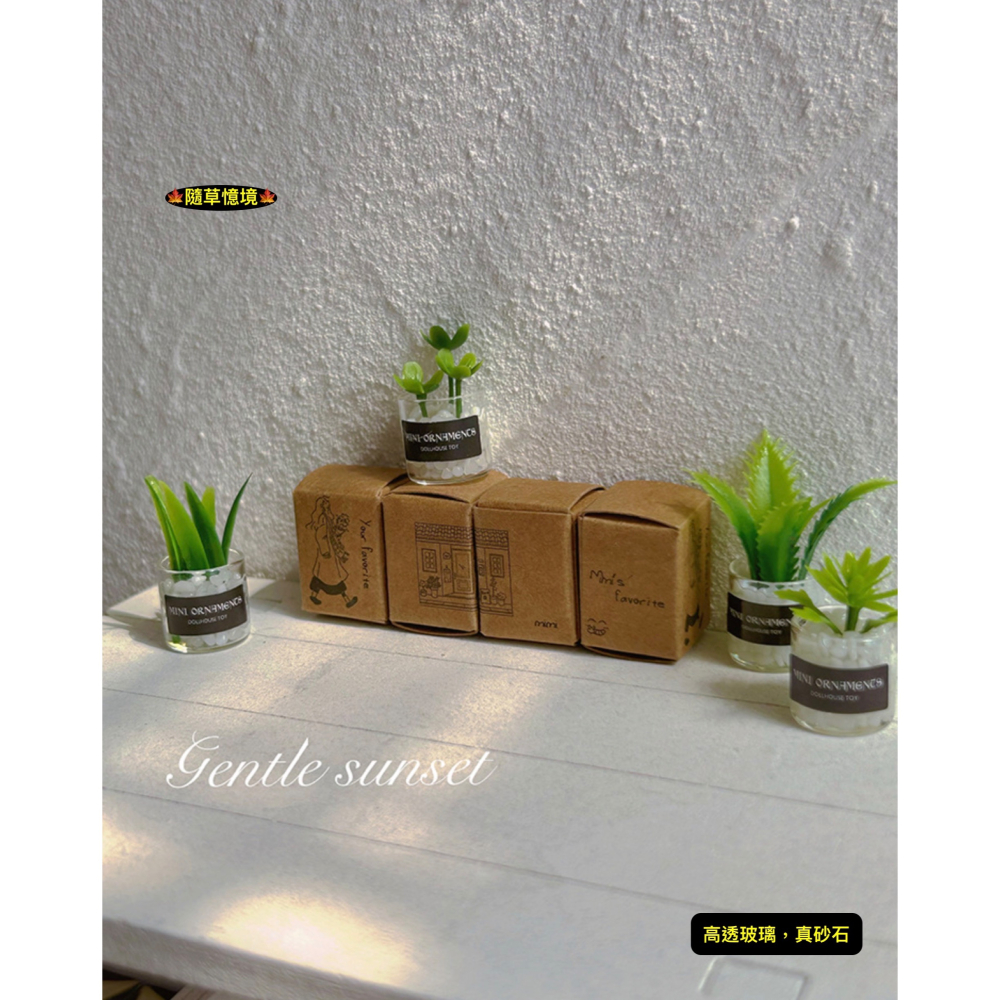 （8款璃盒裝）迷你仿真 綠植 盆栽 盆栽草 盆景 花盆 盆景 K149 娃娃屋 1:12 袖珍 微縮 食玩 微景觀模型-細節圖11