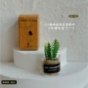 （8款璃盒裝）迷你仿真 綠植 盆栽 盆栽草 盆景 花盆 盆景 K149 娃娃屋 1:12 袖珍 微縮 食玩 微景觀模型-規格圖11