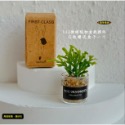（8款璃盒裝）迷你仿真 綠植 盆栽 盆栽草 盆景 花盆 盆景 K149 娃娃屋 1:12 袖珍 微縮 食玩 微景觀模型-規格圖11