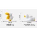 （10款）可愛 水豚 卡皮 巴拉 河豚 泡溫泉 苔蘚 微景觀 園藝 盆栽 造景 魚缸 水陸缸 擺件 公仔 隨草憶境-規格圖10
