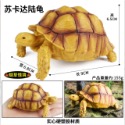 （7款大號實心）仿真 烏龜 陸龜 象龜 蘇卡達龜 輻射陸龜 四趾 豹紋 高品質畫工 動物模型 野生動物  公仔 SPG-規格圖10