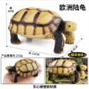 （7款大號實心）仿真 烏龜 陸龜 象龜 蘇卡達龜 輻射陸龜 四趾 豹紋 高品質畫工 動物模型 野生動物  公仔 SPG-規格圖10