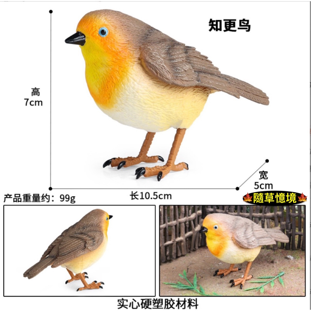 （3款高品質畫工）仿真實心 文鳥 知更鳥 麻雀 飛禽 小鳥 鳥 咬木 模型 動物模型 野生動物 公仔 SPG-細節圖3